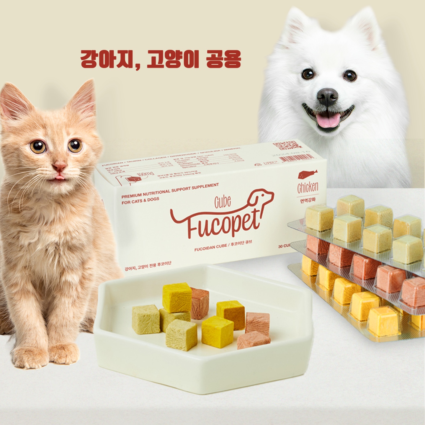 후코이단 큐브